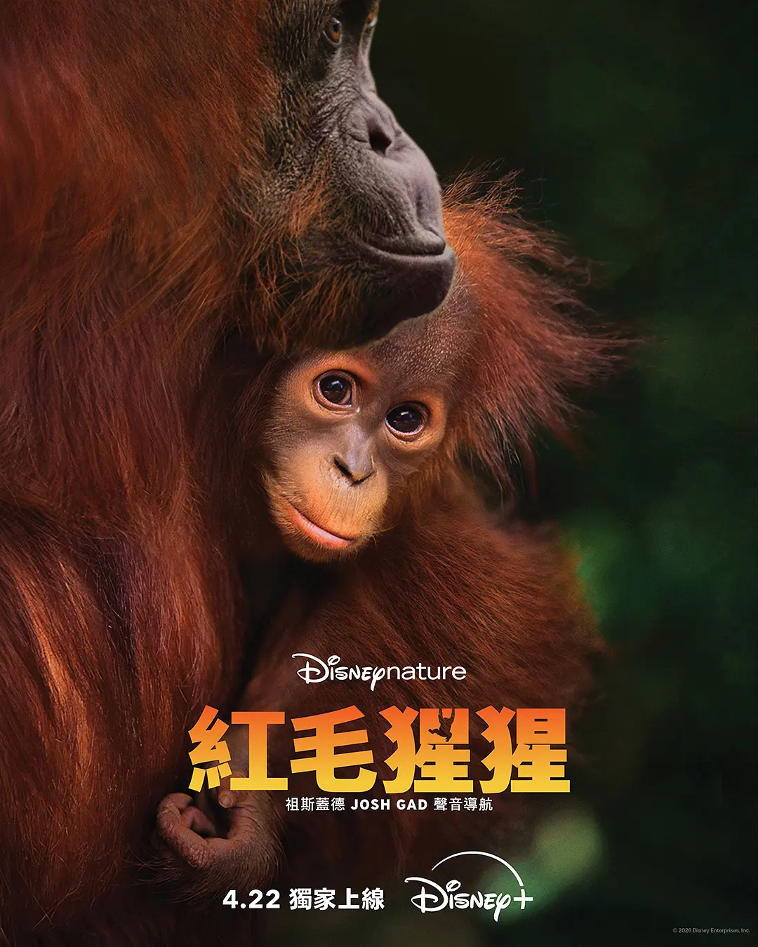 想看《红毛猩猩》？《红毛猩猩》2026超清资源在哪找？夸克网盘无删减版已上线！